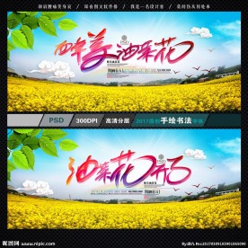 油菜花海报