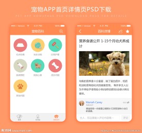 扁平化宠物应用APP首页UI黄