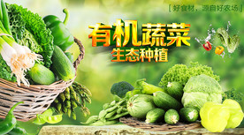 果蔬背景墙