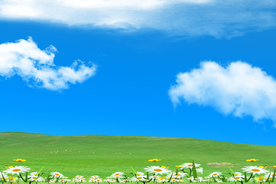 蓝天白云草原