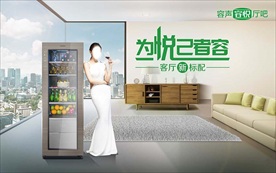 容声冷柜 客厅柜  厅吧 视觉