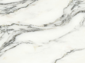 会所新大气鱼肚白 tif合层