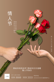 情人节玫瑰花