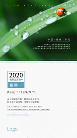 节气H5日签海报