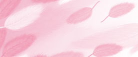 粉白色渐变水彩羽毛背景免抠素材
