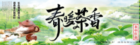 春暖茶香 茶叶