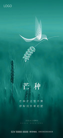 芒种