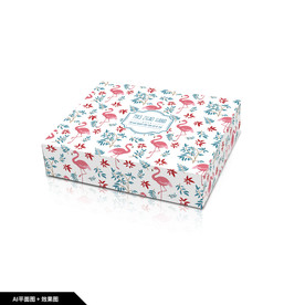 礼品包装 服装包装盒 飞机盒