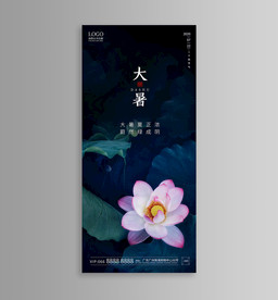 大暑 小暑 立夏 夏至 地产图