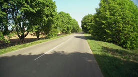 行驶在路上 蓝天绿树