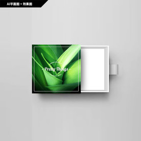 礼品包装 芦荟 化妆品包装盒