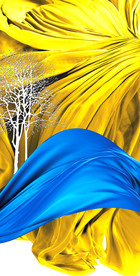 金色抽象装饰画