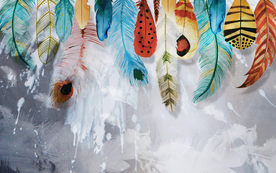 彩色羽毛电视墙