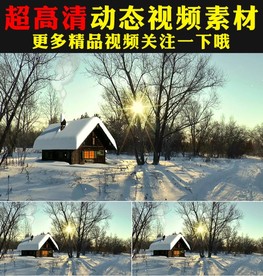 白雪皑皑冬天冬季雪景实拍视频