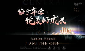 黑金都会写字楼画面