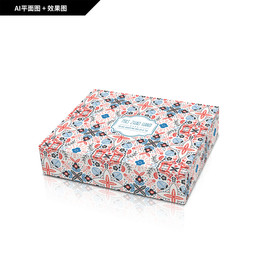 礼品包装 服装包装盒 飞机盒