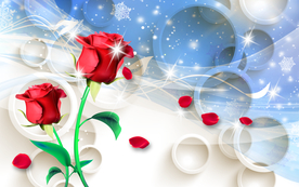 时尚玫瑰花背景装饰画