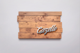 高端LOGO墙样机样机