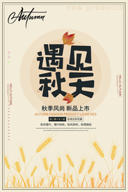 遇见秋天海报