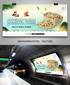 落花生海报灯箱展板展架挂画单页