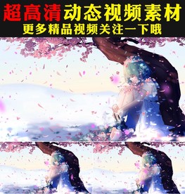 唯美樱花树下花瓣飘落少女视频