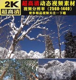 冬季雪景下雪山雪花冰雪融化视频