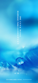 白露