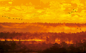 油画风景意境山水画欧美风景油画