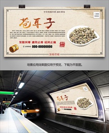 野生苍耳子海报灯箱展板展架挂画