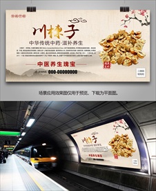 中药川楝子展板展架挂画海报灯箱