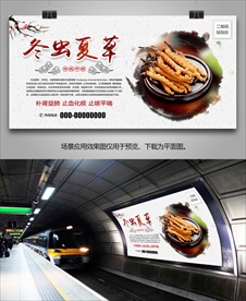 冬虫夏草灯箱海报展板展架挂画