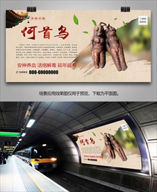 何首乌招贴海报展板灯箱挂画单页