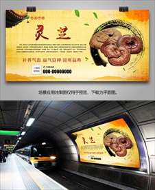 灵芝宣传海报灯箱展板展架挂画