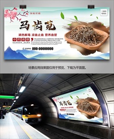 野生马齿苋海报灯箱展板展架挂画