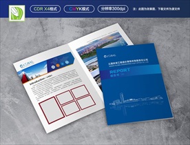 技术咨询报告书2