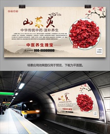 山茱萸简介海报灯箱展板展架挂画