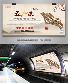 五加皮简介海报灯箱展板展架挂画