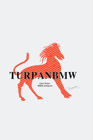 北欧风格抽象装饰画骏马图