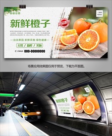 新鲜橙子易拉宝展架单页挂画海报