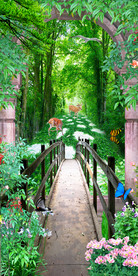 清新树林小路过道3D玄关