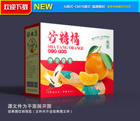 桔子包装