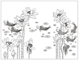 荷花鱼