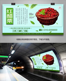 醋栗灯箱挂画展板易拉宝单页海报