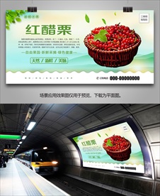 醋栗展架易拉宝展板海报灯箱单页