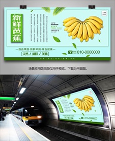 新鲜芭蕉展架展板灯箱海报挂画