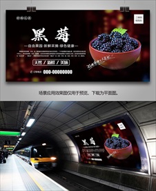 新鲜黑莓展架灯箱单页易拉宝海报