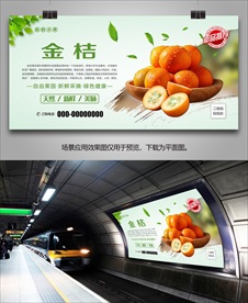 金桔灯箱易拉宝单页挂画海报展架