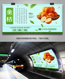 金桔灯箱展板海报单页易拉宝展架