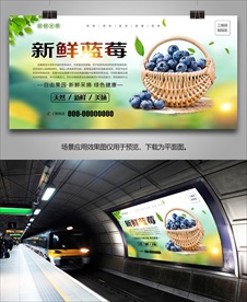 蓝莓单页展板挂画易拉宝展架灯箱