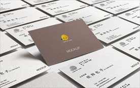 公司企业VI名片智能样机